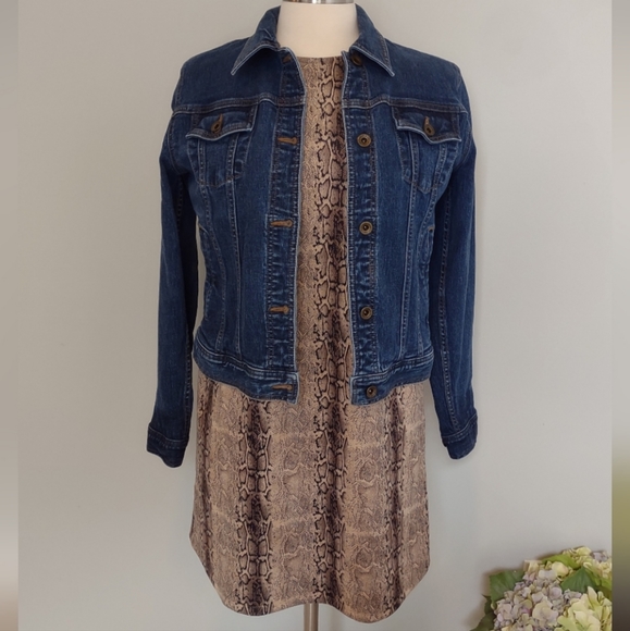 She + Sky Snake Print Mini Shift Dress Short Sleeve Soft Structure Fabric Size S - Picture 10 of 10